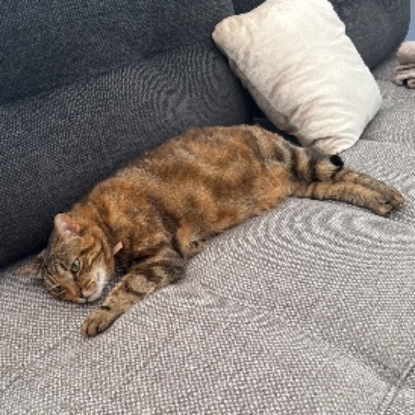 Photo de Princesse