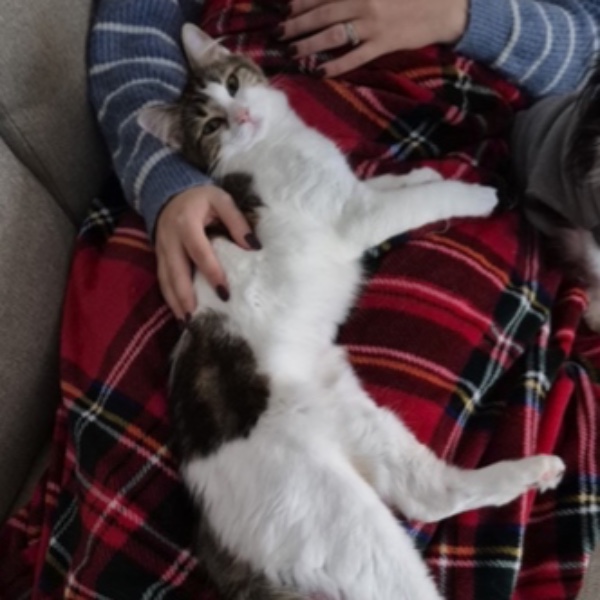 Photo de Chouquette