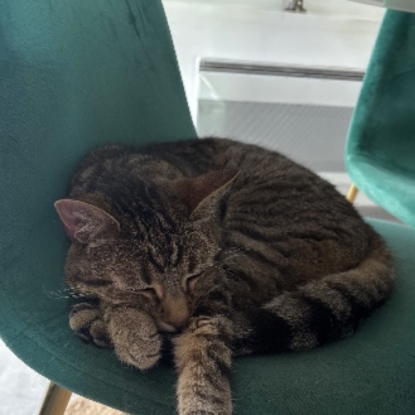 Tigrou