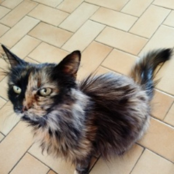 Photo de Poupette