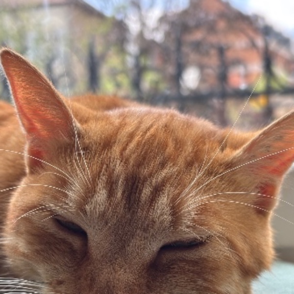 Photo de Winnie