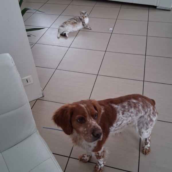 Photo de Sanka