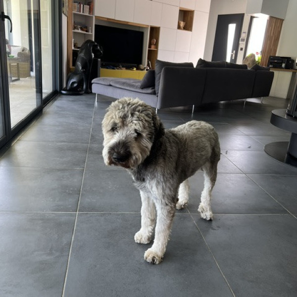 Photo de POLO