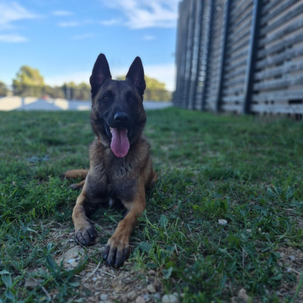 Neyko
