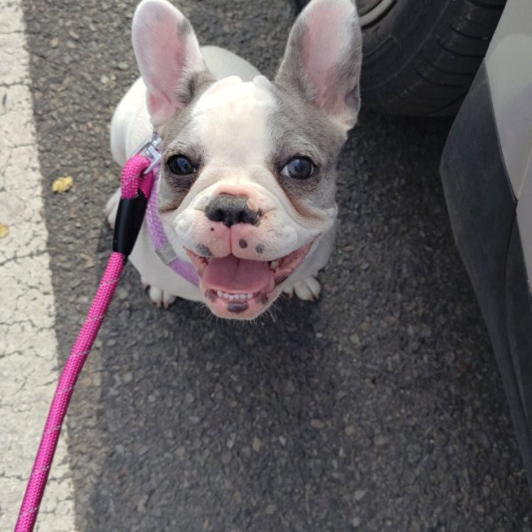 Photo de Nala