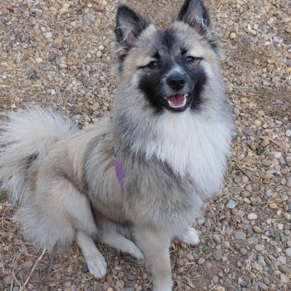 Photo de Zora