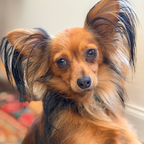 Photo de Sputnik