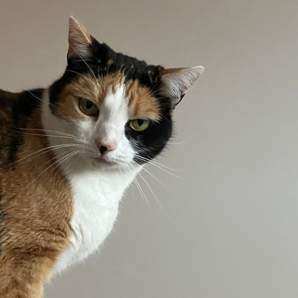 Lila (alias Poupette)