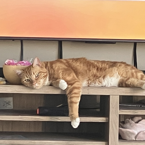 Léo (alias mimi)