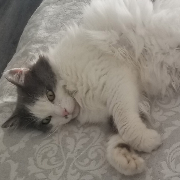 Photo de Nana