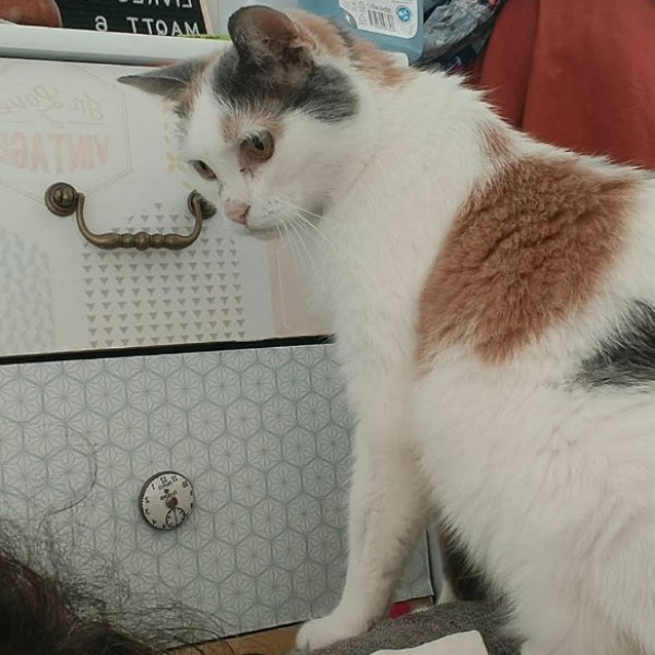 Photo de Chihiro