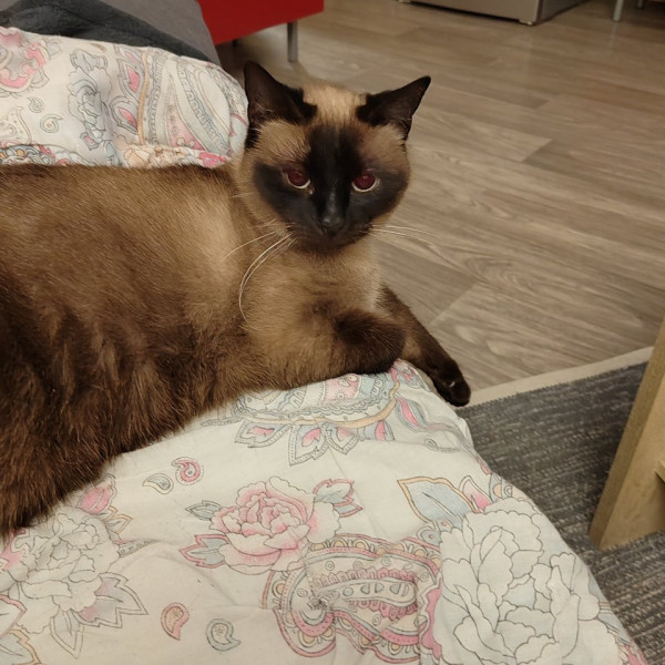 Photo de Mouky