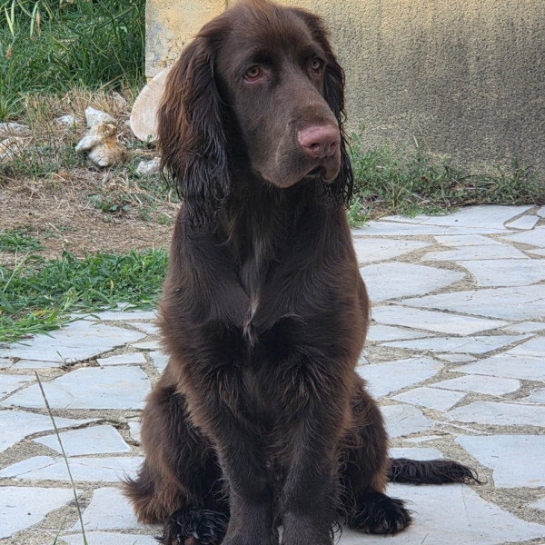 Photo de Badgy