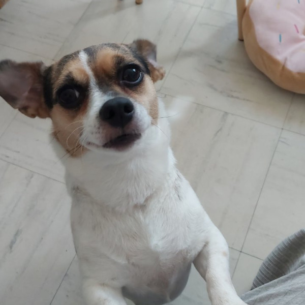 Photo de Ora