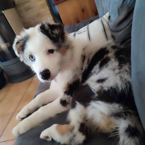 Brooklyn