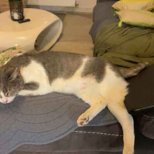 Titou