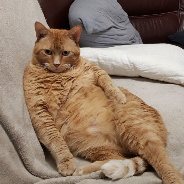 Photo de Enzo