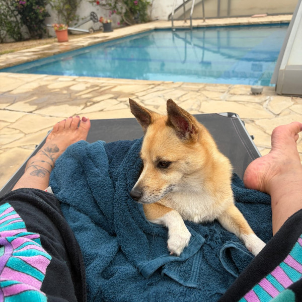 Photo de ROXY