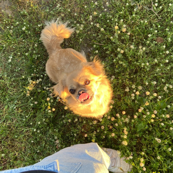 Jixi