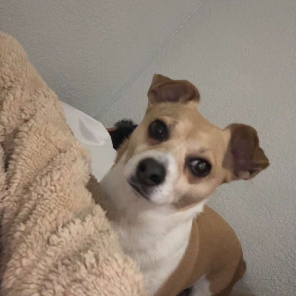 Kiko