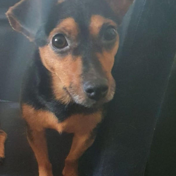 Photo de Roxy