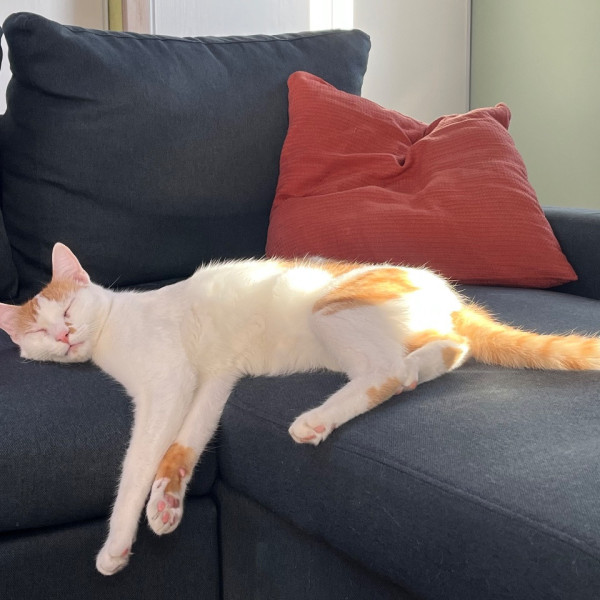 Photo de Balthazar