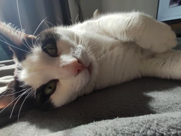 Photo de Django