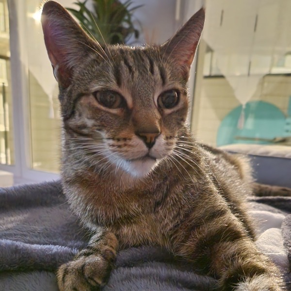 Photo de Néo