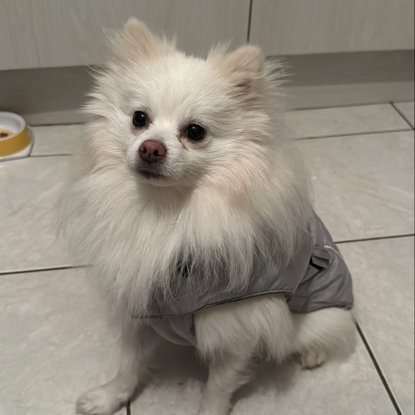 Milou