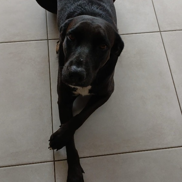 Photo de Cayenne