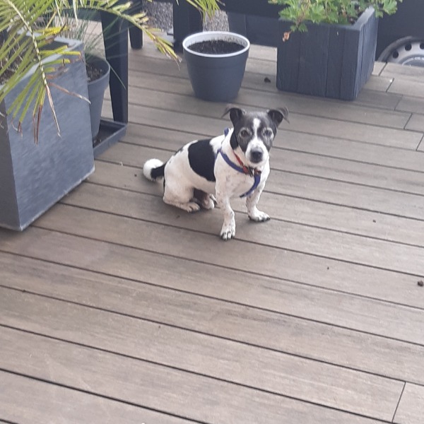Photo de Jack
