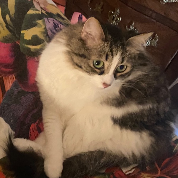 Sookie