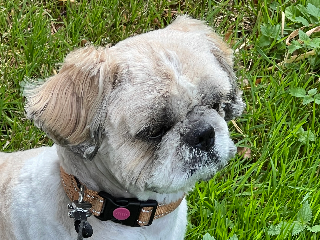 Photo de SKipy