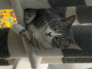 Photo de Mignonne