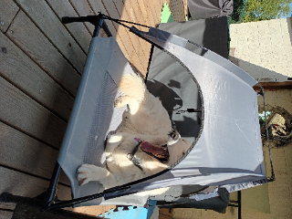Photo de Alaska