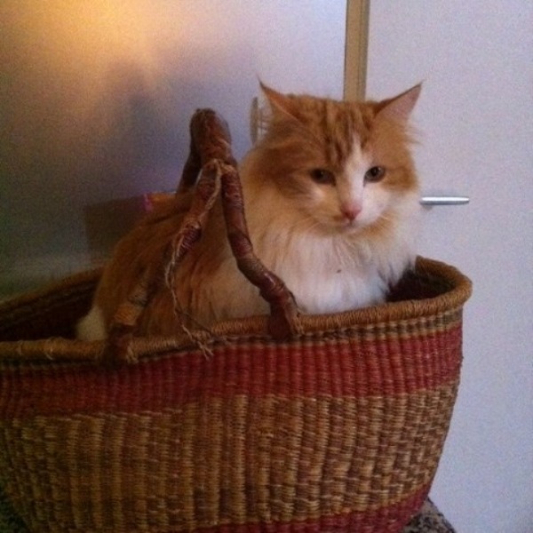 Photo de LULU