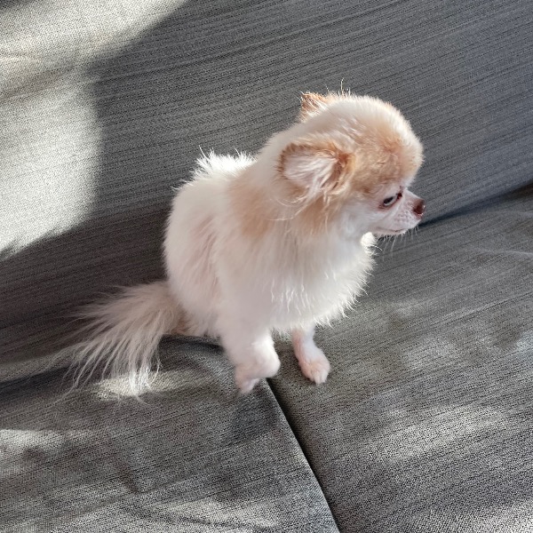 Photo de MIETTE