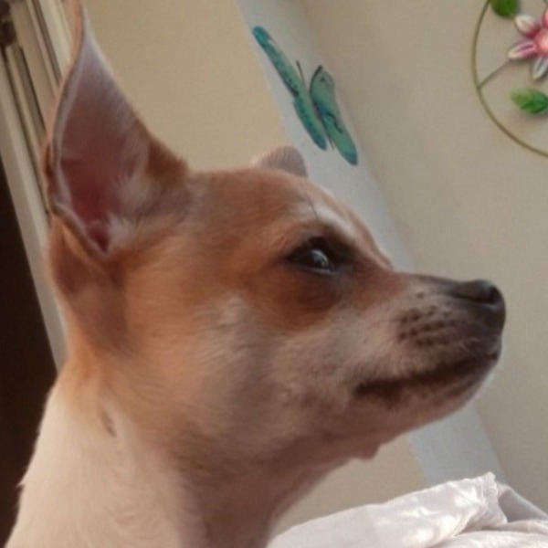 Olympe