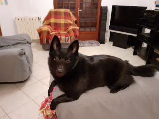 Photo de Louna