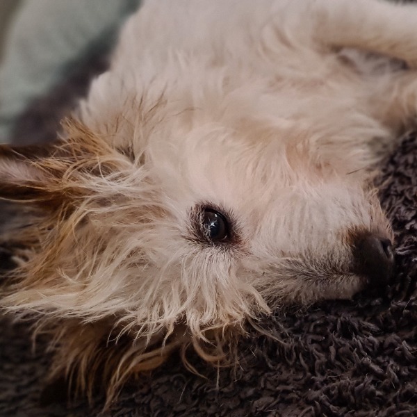 Photo de Nébo