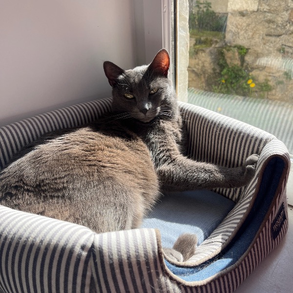 Photo de Mia