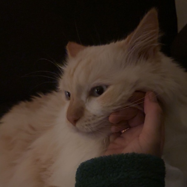 Photo de Bébé