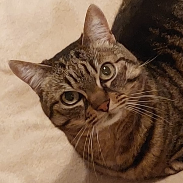 Photo de mimi