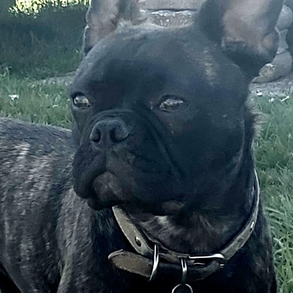 Capone