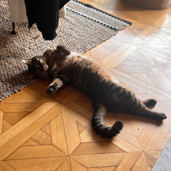 Photo de Naïa