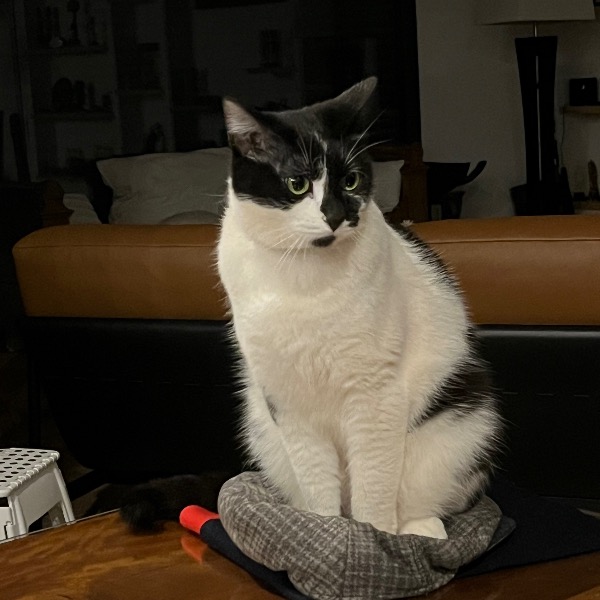 Prince