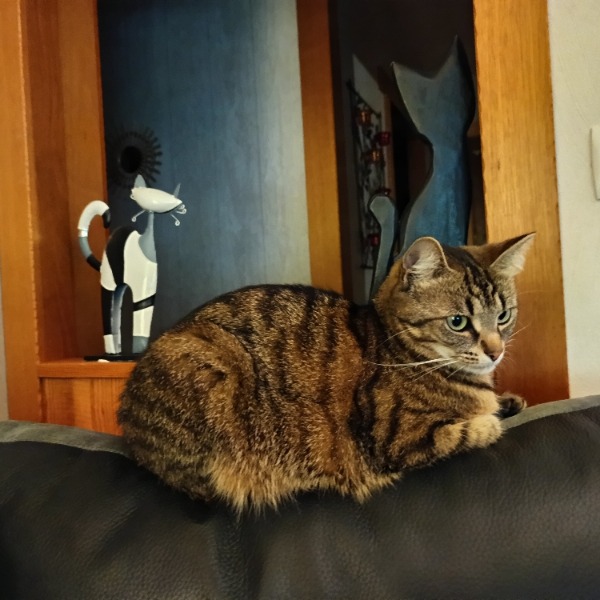Photo de Yumi