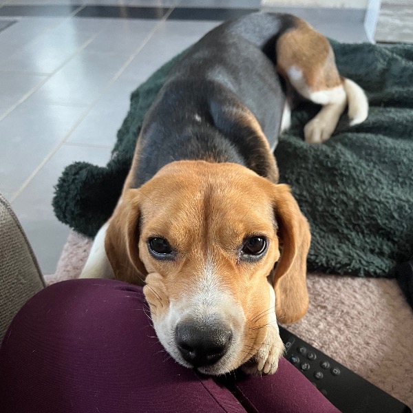 Nala