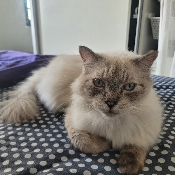 Photo de Valentin