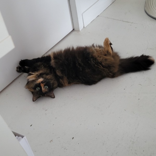 Photo de Cléo